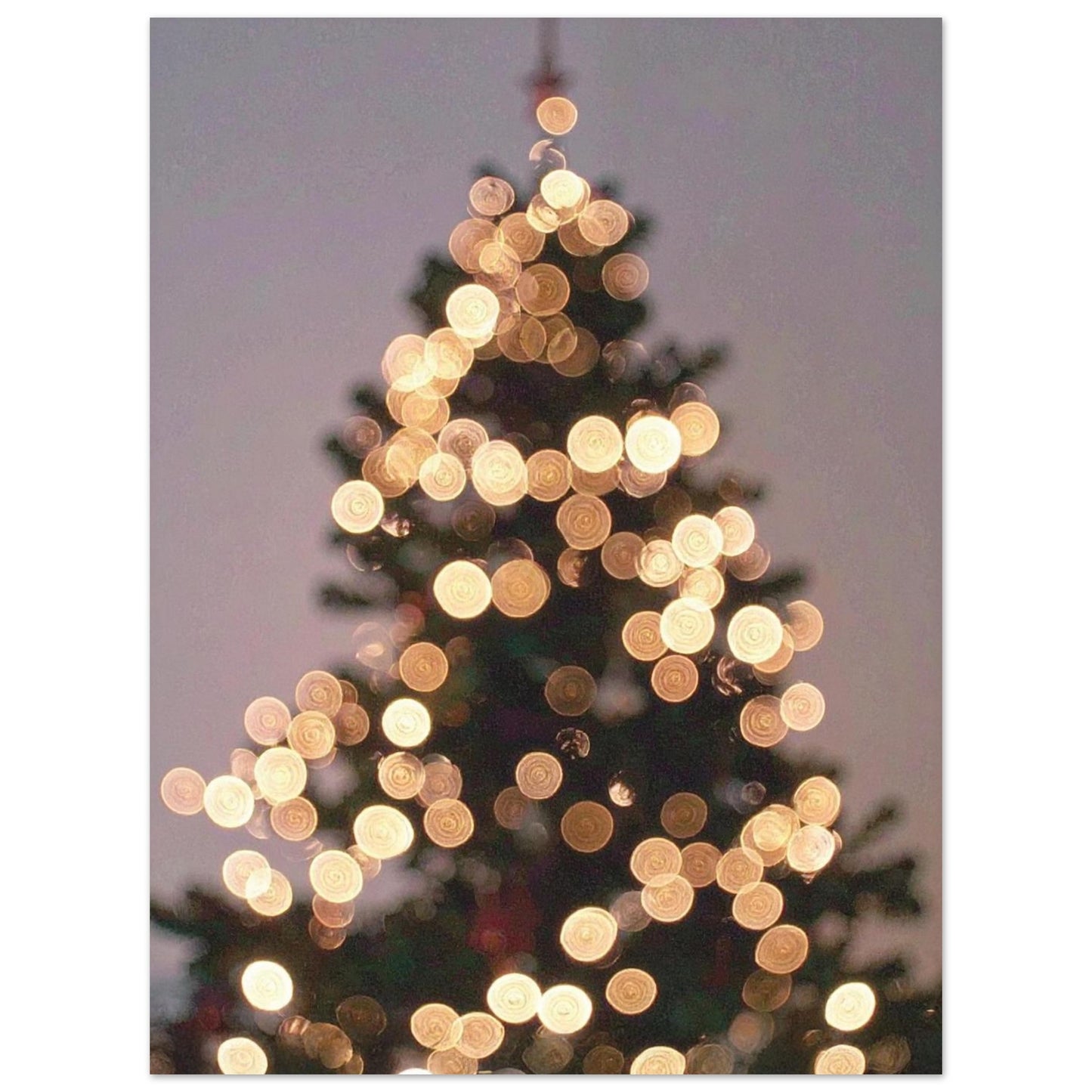 022a1b86-da14-4f8d-9491-9d5e08b552d3