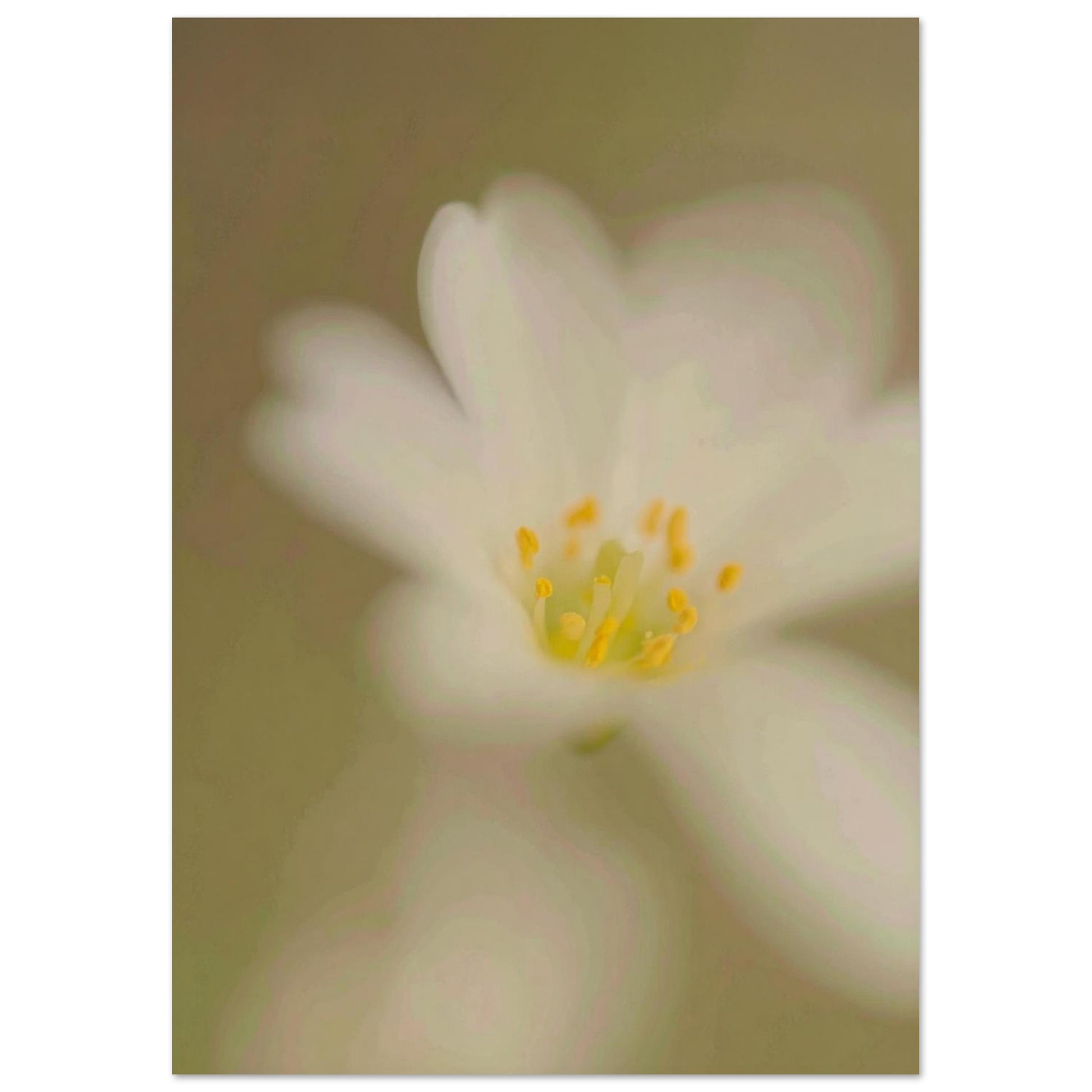 10269050-a646-413a-84fc-80bb63669b4c