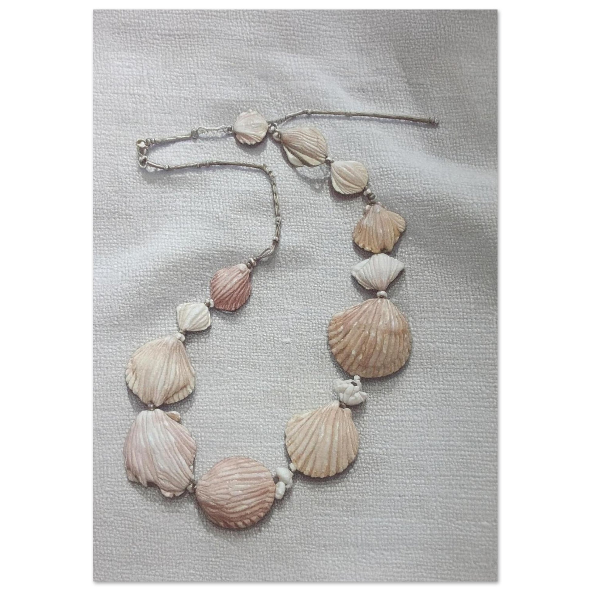 88c1d36b-03a3-4c55-8283-778b5cf7b23b