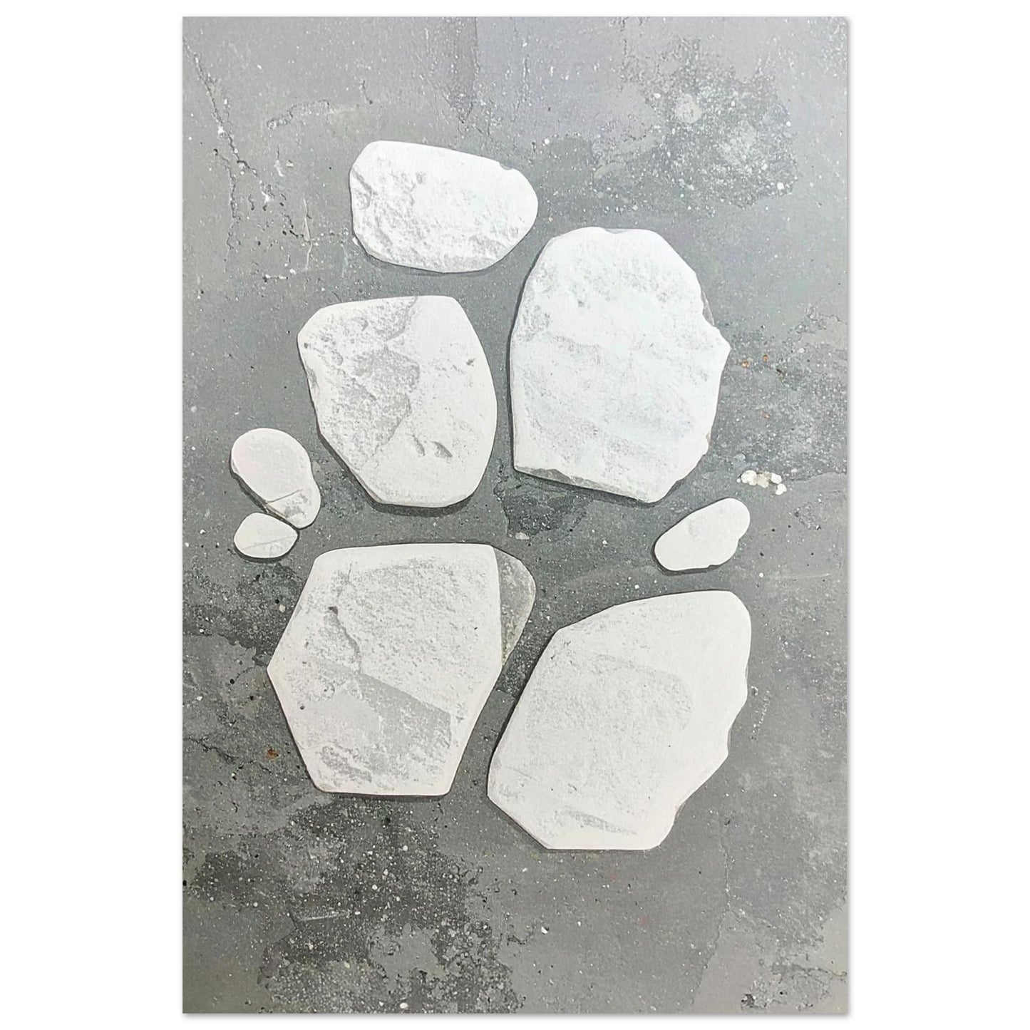 ad55281c-772a-483b-add4-50c850b1fec3