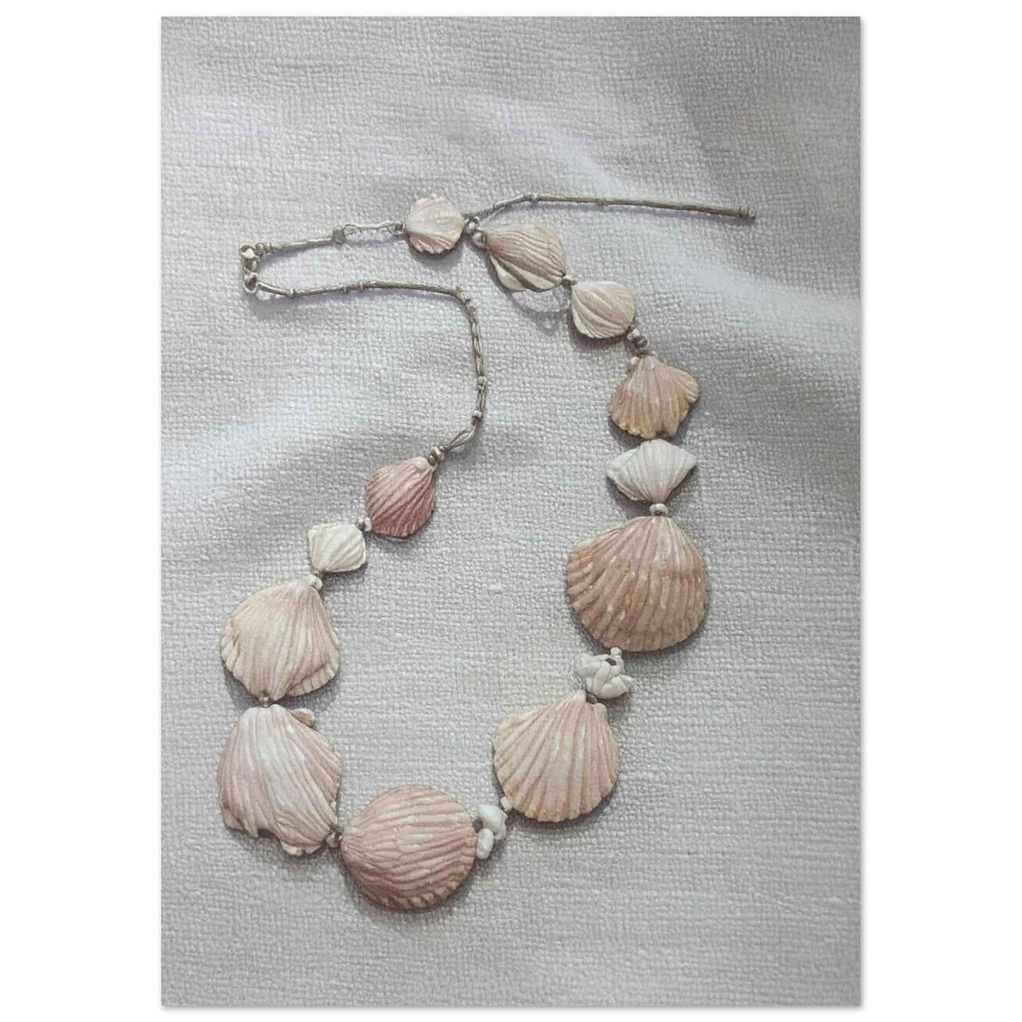 b1bdd96d-a3c8-418a-a31c-eb3d0ff613a8