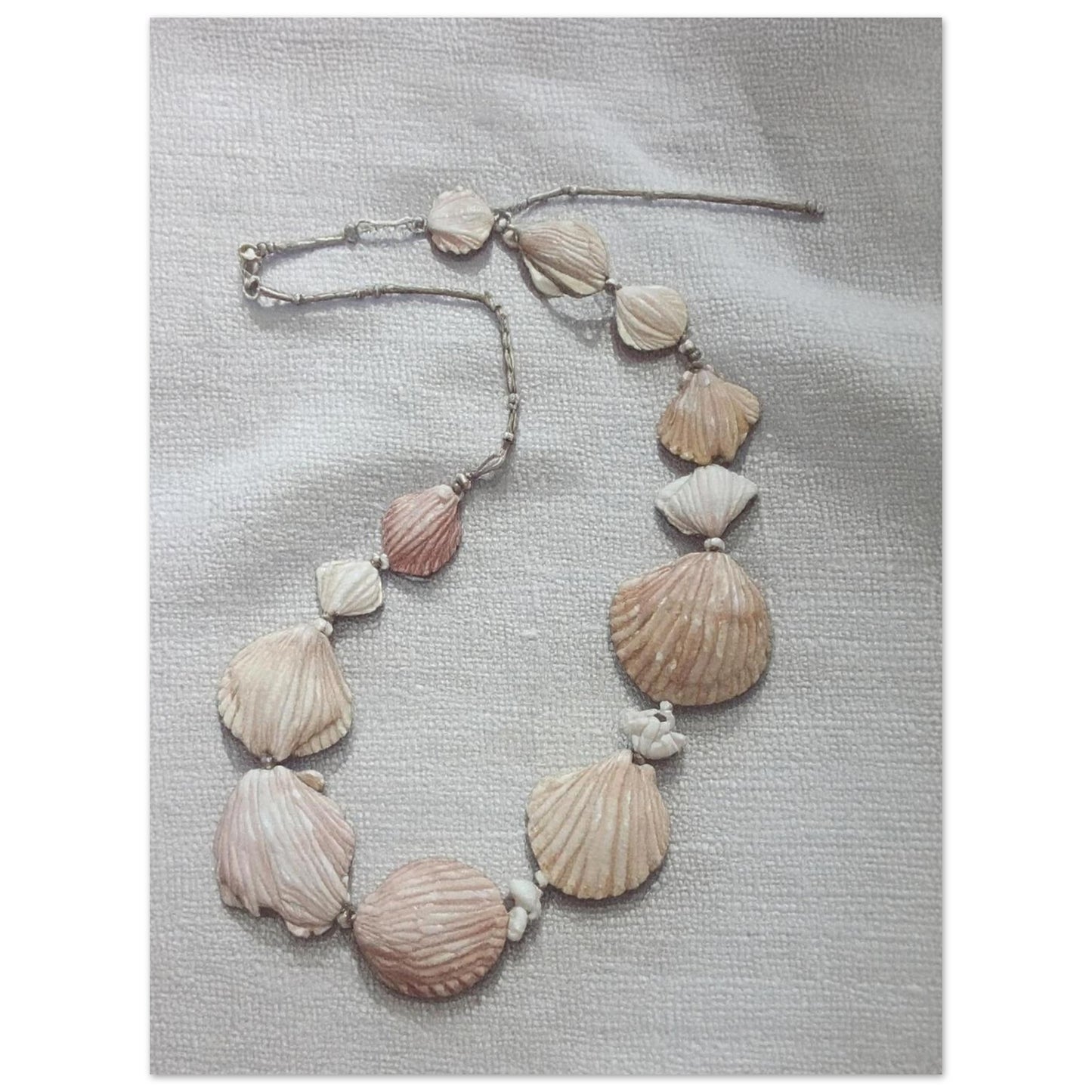 bbb8dc02-754b-40e8-84ac-cf5254f56430