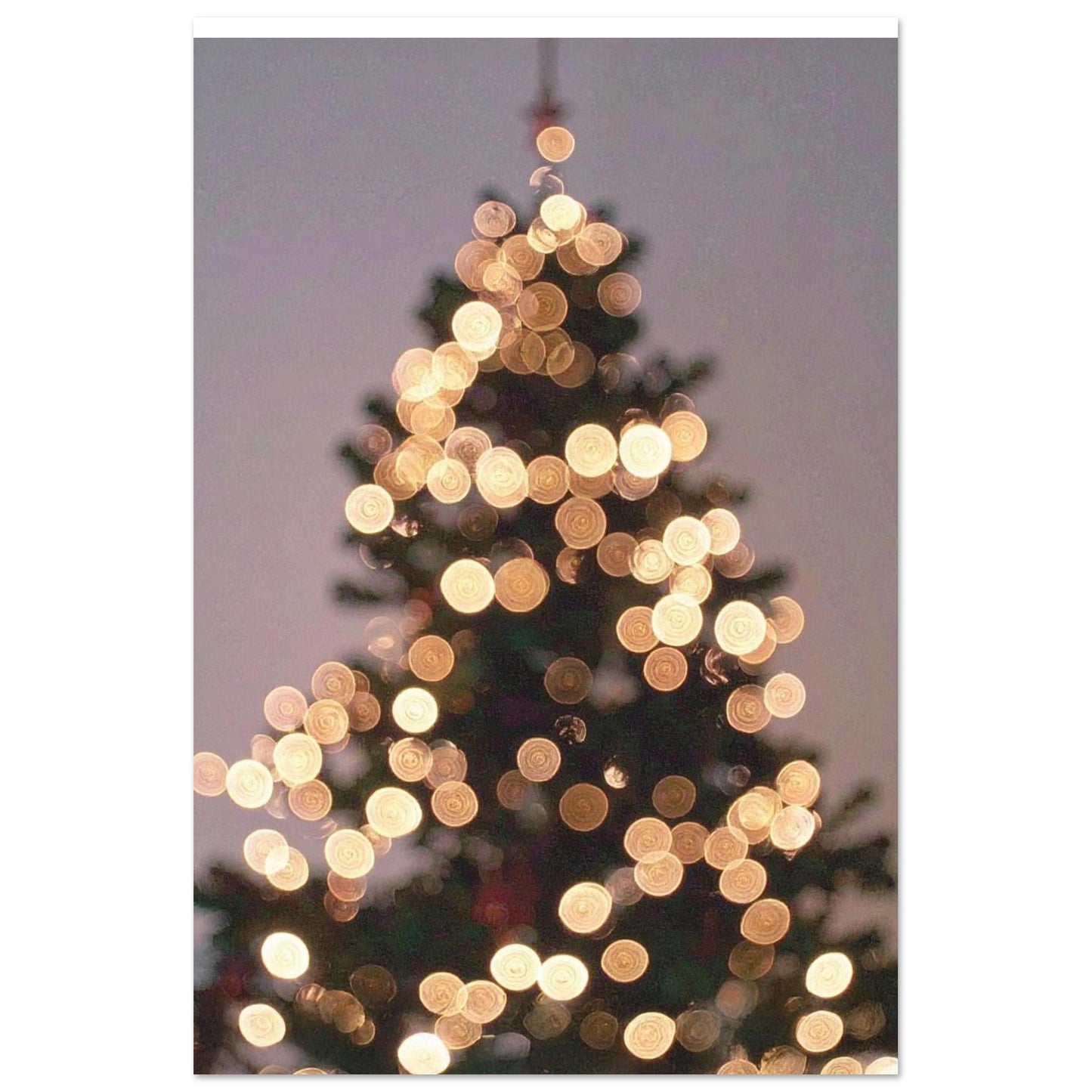 edc55155-3c3b-42f7-b7fb-7da271e76953